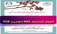 کارگاه آموزش اصول استخراج DNA ژنومی و PCR