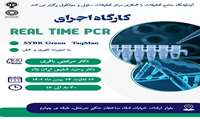 کارگاه اجرای Real-time PCR به روش SYBR Green و TaqMan
