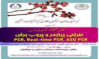 کارگاه طراحی پرایمر و پروپ برای PCR, ASO-PCR, real-time PCR و نحوه ارزیابی آنها در پایگاه داده های ژنومی بصورت آنلاین تئوری و عملی