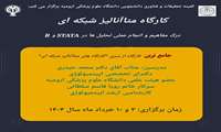 کارگاه آموزشی متاآنالیز شبکه ای
